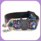 Kitten-127